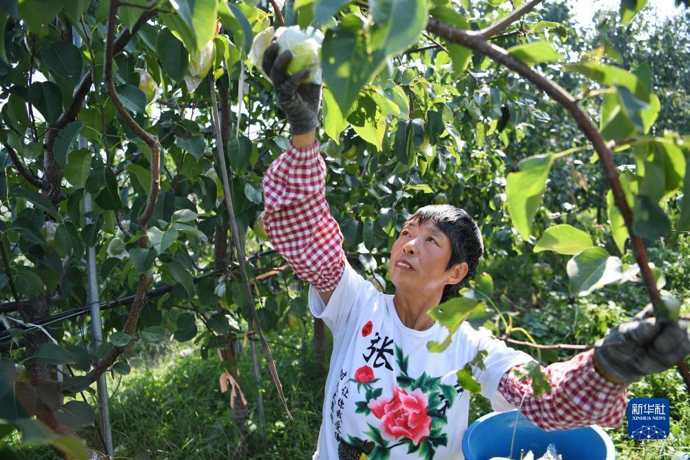 u宝娱乐平台登录